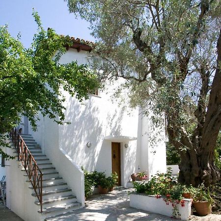 Villas Alexandra Skiathos Platanias  Bagian luar foto