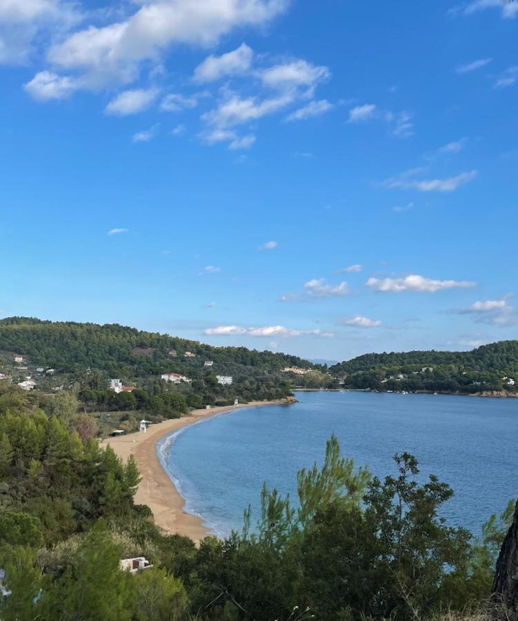 Villas Alexandra Skiathos Platanias  Bagian luar foto