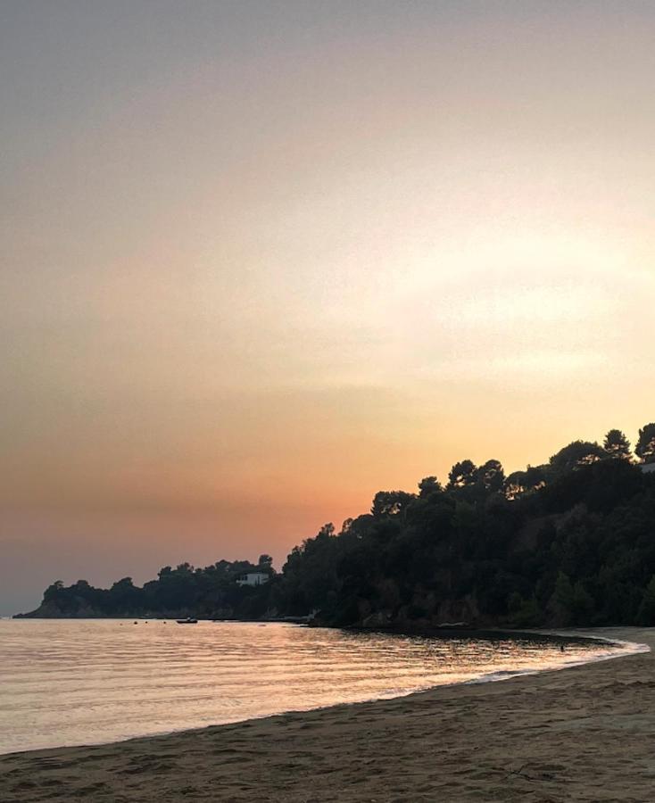 Villas Alexandra Skiathos Platanias  Bagian luar foto