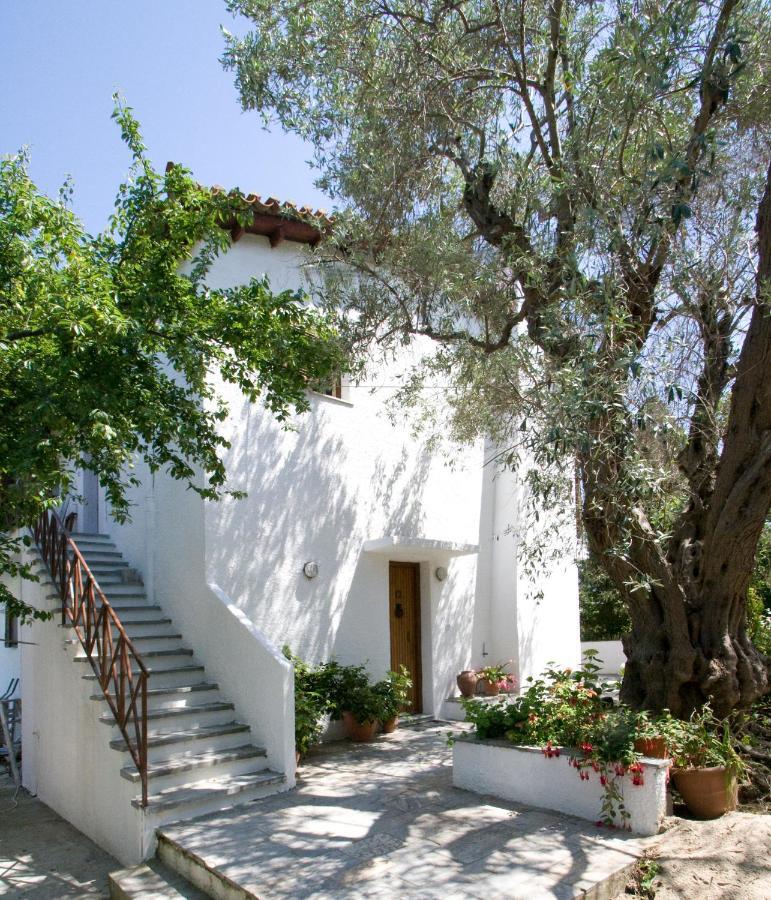 Villas Alexandra Skiathos Platanias  Bagian luar foto