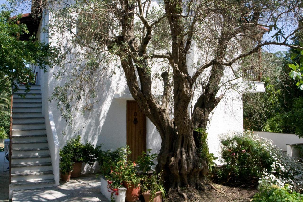 Villas Alexandra Skiathos Platanias  Bagian luar foto